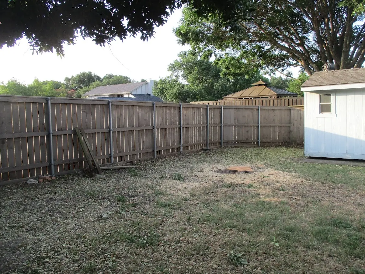 Cleared yard after professional tree removal in Florissant